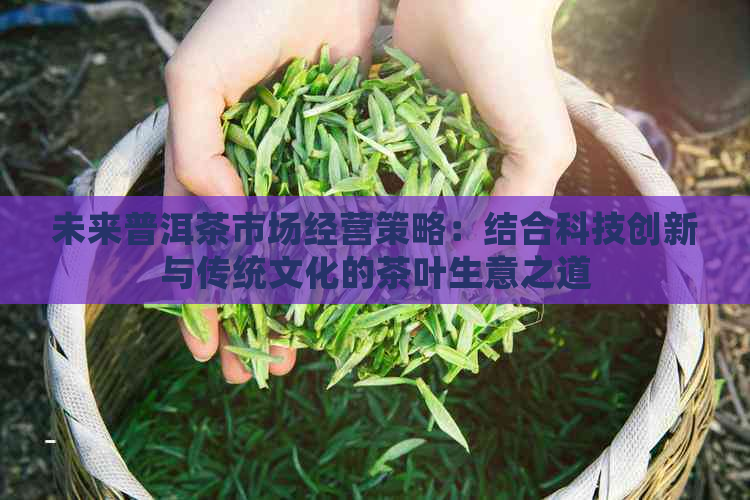 未来普洱茶市场经营策略：结合科技创新与传统文化的茶叶生意之道