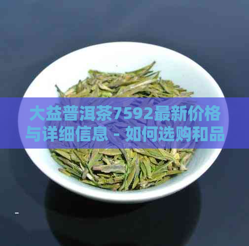 大益普洱茶7592最新价格与详细信息 - 如何选购和品鉴这款名茶？