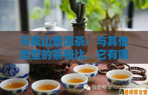 马鞍山普洱茶：与其他类型的茶相比，它有哪些相似之处和特点？