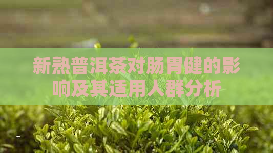 新熟普洱茶对肠胃健的影响及其适用人群分析