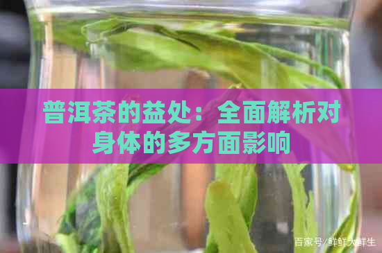 普洱茶的益处：全面解析对身体的多方面影响