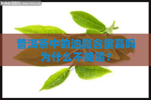 普洱茶中的油脂含量高吗为什么不能喝？