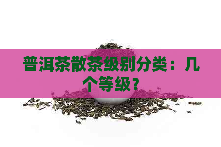 普洱茶散茶级别分类：几个等级？