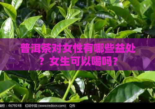 普洱茶对女性有哪些益处？女生可以喝吗？