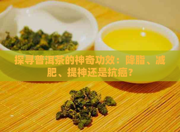 探寻普洱茶的神奇功效：降脂、减肥、提神还是抗癌？