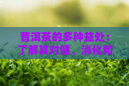 普洱茶的多种益处：了解其对健、消化和情绪的影响