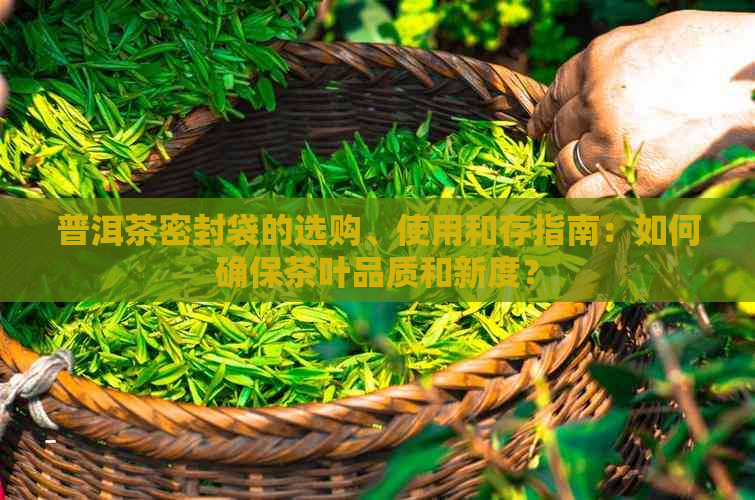 普洱茶密封袋的选购、使用和存指南：如何确保茶叶品质和新度？