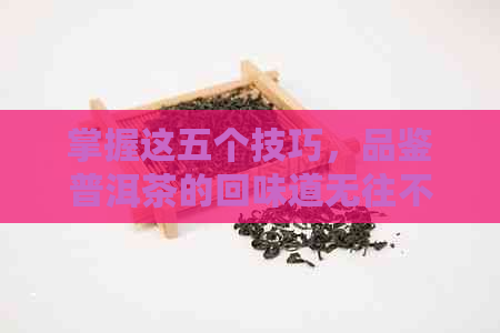 掌握这五个技巧，品鉴普洱茶的回味道无往不利！