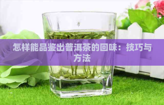 怎样能品鉴出普洱茶的回味：技巧与方法