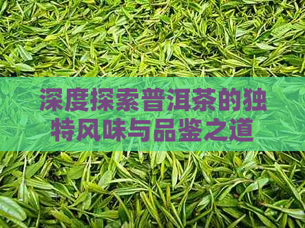 深度探索普洱茶的独特风味与品鉴之道