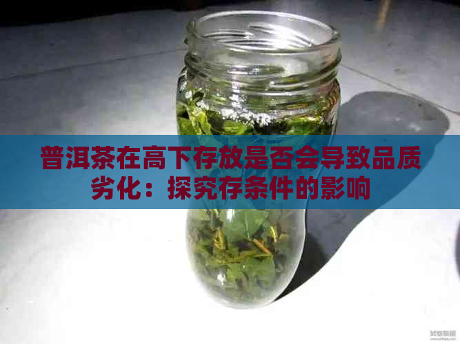 普洱茶在高下存放是否会导致品质劣化：探究存条件的影响