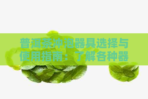 普洱茶冲泡器具选择与使用指南：了解各种器具的优缺点，让你泡出更好的茶