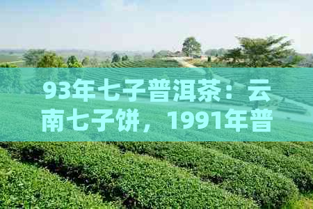 93年七子普洱茶：云南七子饼，1991年普洱七子饼，0081价格，07七子茶饼