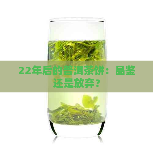 22年后的普洱茶饼：品鉴还是放弃？