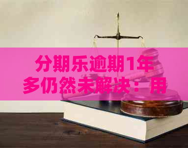 逾期1年多仍然未解决：用户探讨应对策略与可能的救济方法