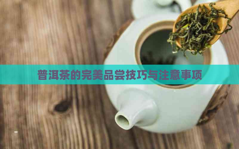 普洱茶的完美品尝技巧与注意事项