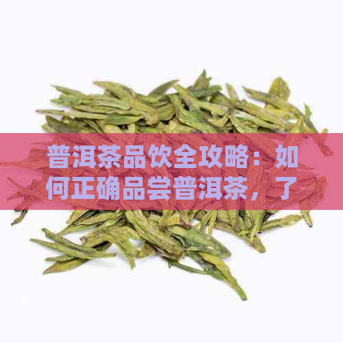 普洱茶品饮全攻略：如何正确品尝普洱茶，了解泡法与品鉴技巧