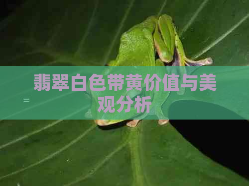 翡翠白色带黄价值与美观分析