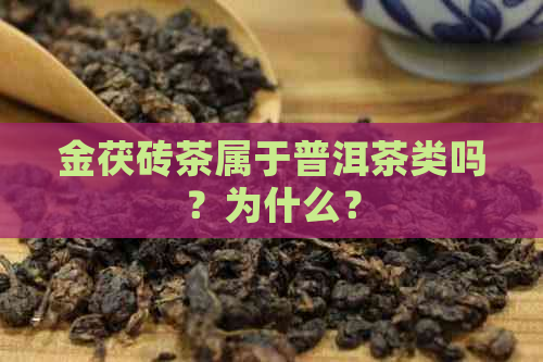 金茯砖茶属于普洱茶类吗？为什么？