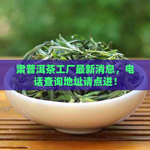 肃普洱茶工厂最新消息，电话查询地址请点进！