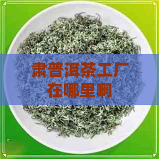 肃普洱茶工厂在哪里啊