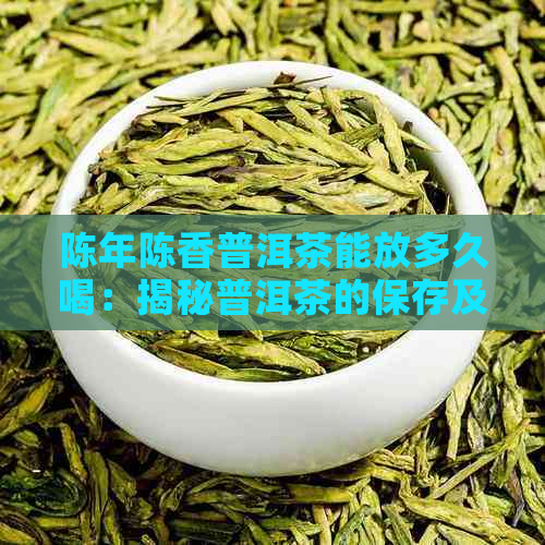 陈年陈香普洱茶能放多久喝：揭秘普洱茶的保存及品饮方法