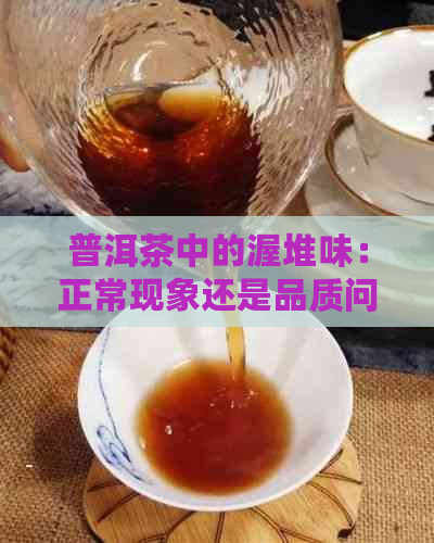 普洱茶中的渥堆味：正常现象还是品质问题？如何避免饮用