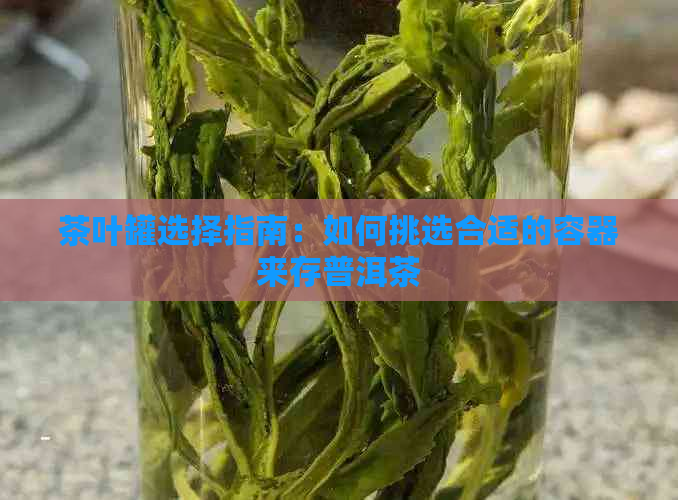 茶叶罐选择指南：如何挑选合适的容器来存普洱茶