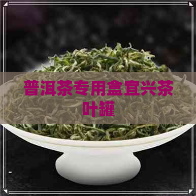 普洱茶专用盒宜兴茶叶罐