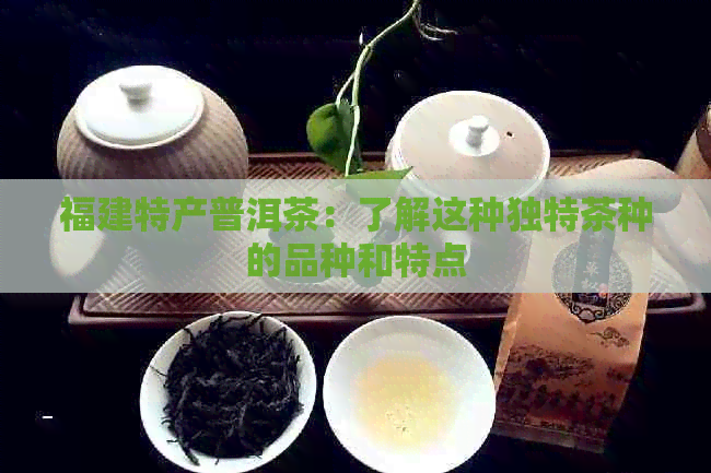 福建特产普洱茶：了解这种独特茶种的品种和特点