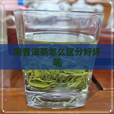 喝普洱茶怎么区分好坏呢