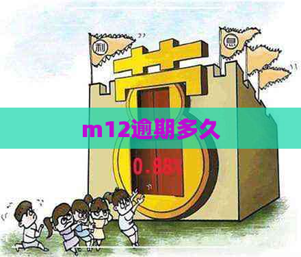 m12逾期多久