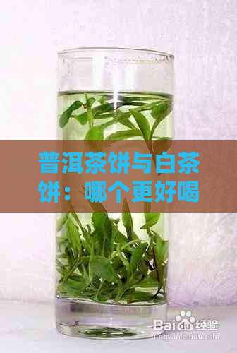 普洱茶饼与白茶饼：哪个更好喝？