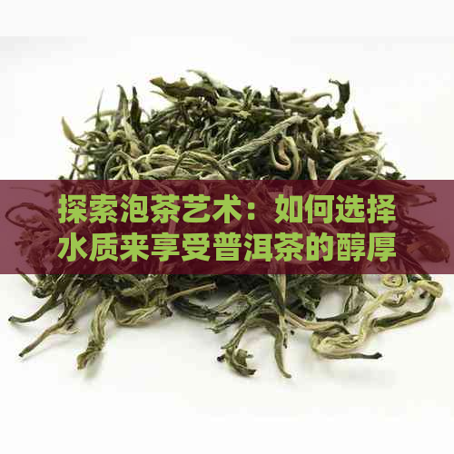 探索泡茶艺术：如何选择水质来享受普洱茶的醇厚风味