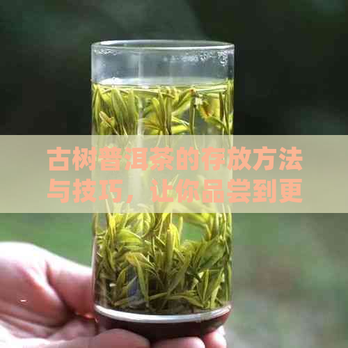 古树普洱茶的存放方法与技巧，让你品尝到更好的口感