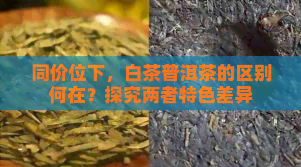 同价位下，白茶普洱茶的区别何在？探究两者特色差异