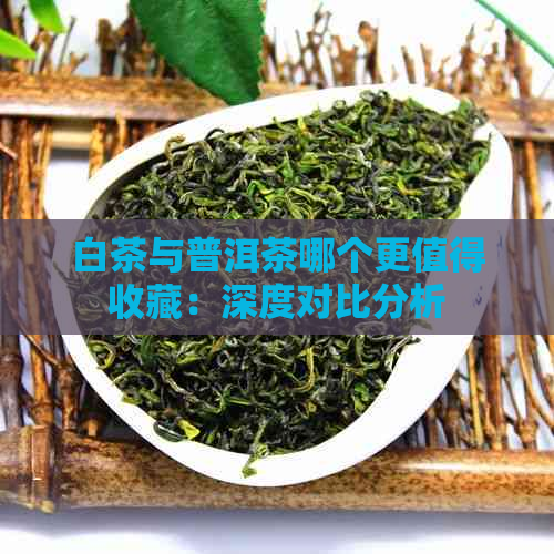 白茶与普洱茶哪个更值得收藏：深度对比分析