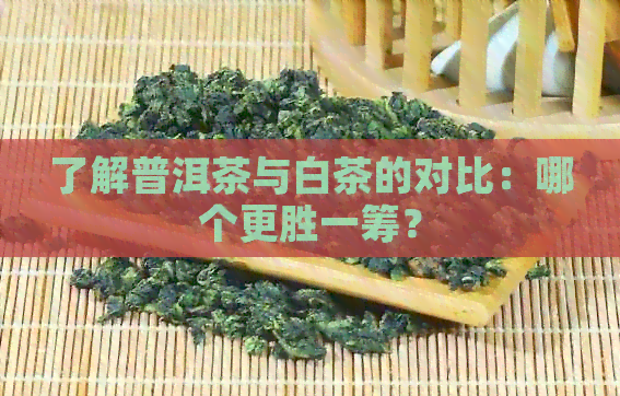 了解普洱茶与白茶的对比：哪个更胜一筹？