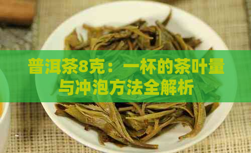 普洱茶8克：一杯的茶叶量与冲泡方法全解析