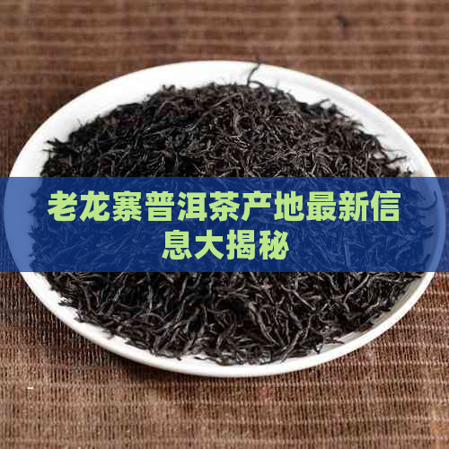 老龙寨普洱茶产地最新信息大揭秘