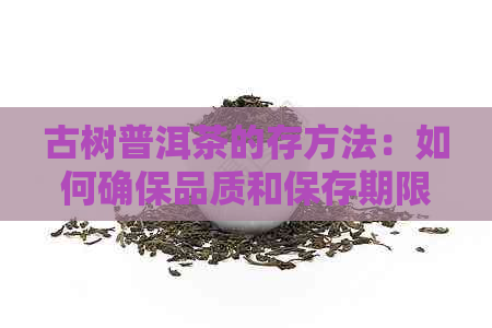 古树普洱茶的存方法：如何确保品质和保存期限？