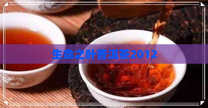 生命之叶普洱茶2012