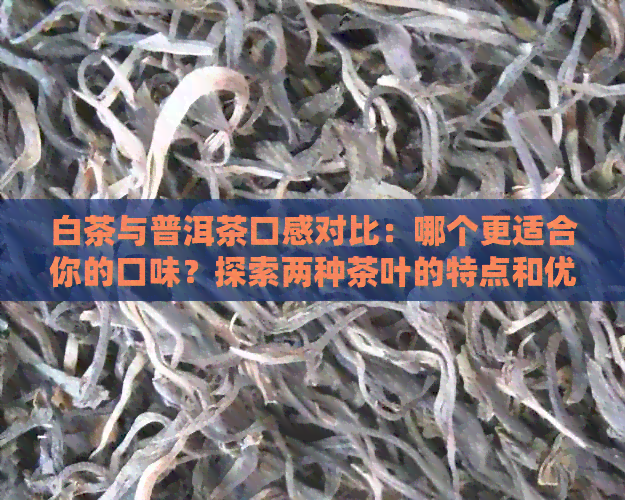 白茶与普洱茶口感对比：哪个更适合你的口味？探索两种茶叶的特点和优劣