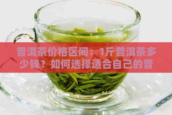 普洱茶价格区间：1斤普洱茶多少钱？如何选择适合自己的普洱茶？