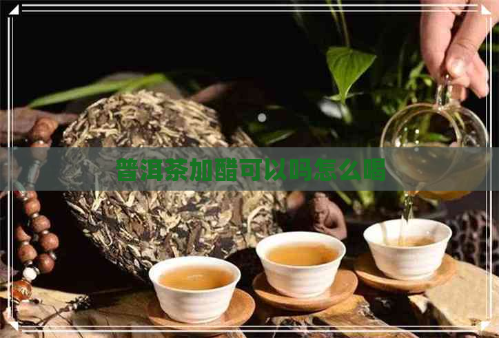 普洱茶加醋可以吗怎么喝