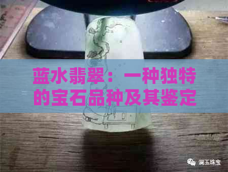 蓝水翡翠：一种独特的宝石品种及其鉴定方法