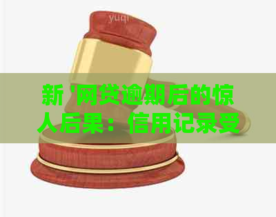 新 '网贷逾期后的惊人后果：信用记录受损、被起诉还是被爆光？'