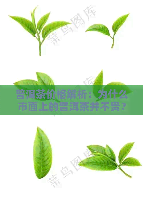 普洱茶价格解析：为什么市面上的普洱茶并不贵？揭秘真正的价格因素