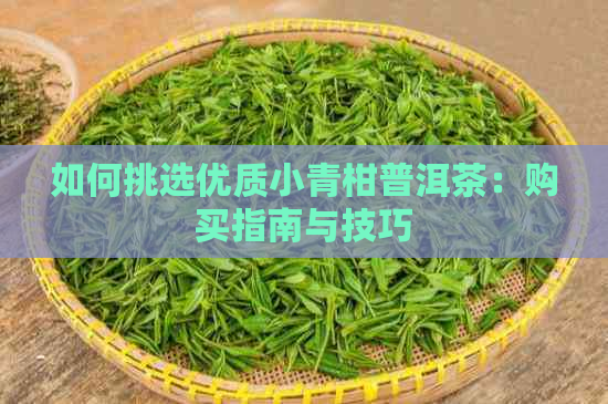 如何挑选优质小青柑普洱茶：购买指南与技巧