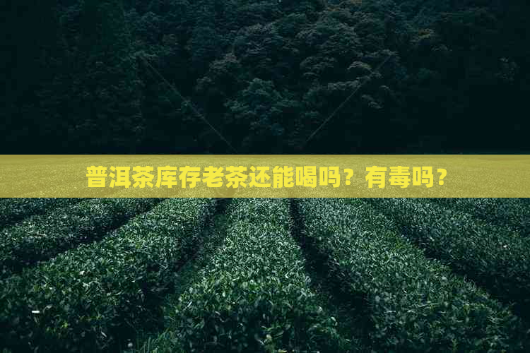 普洱茶库存老茶还能喝吗？有吗？